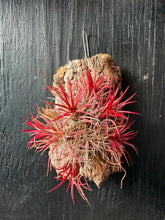 Load image into Gallery viewer, Ionantha Fuego Balls